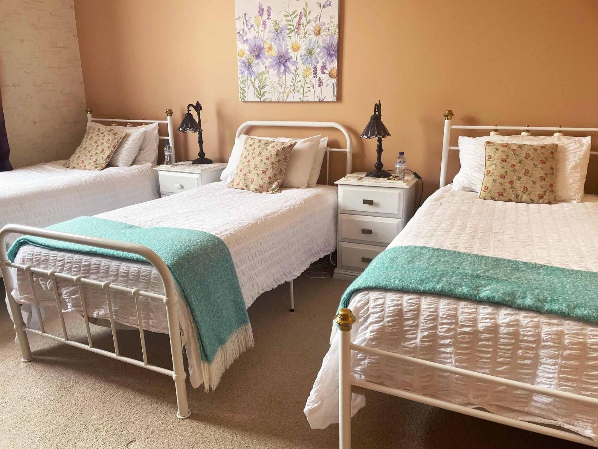 Stony Rise Cottage B&B Devonport Extérieur photo